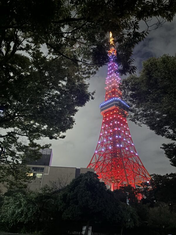 Image (3)